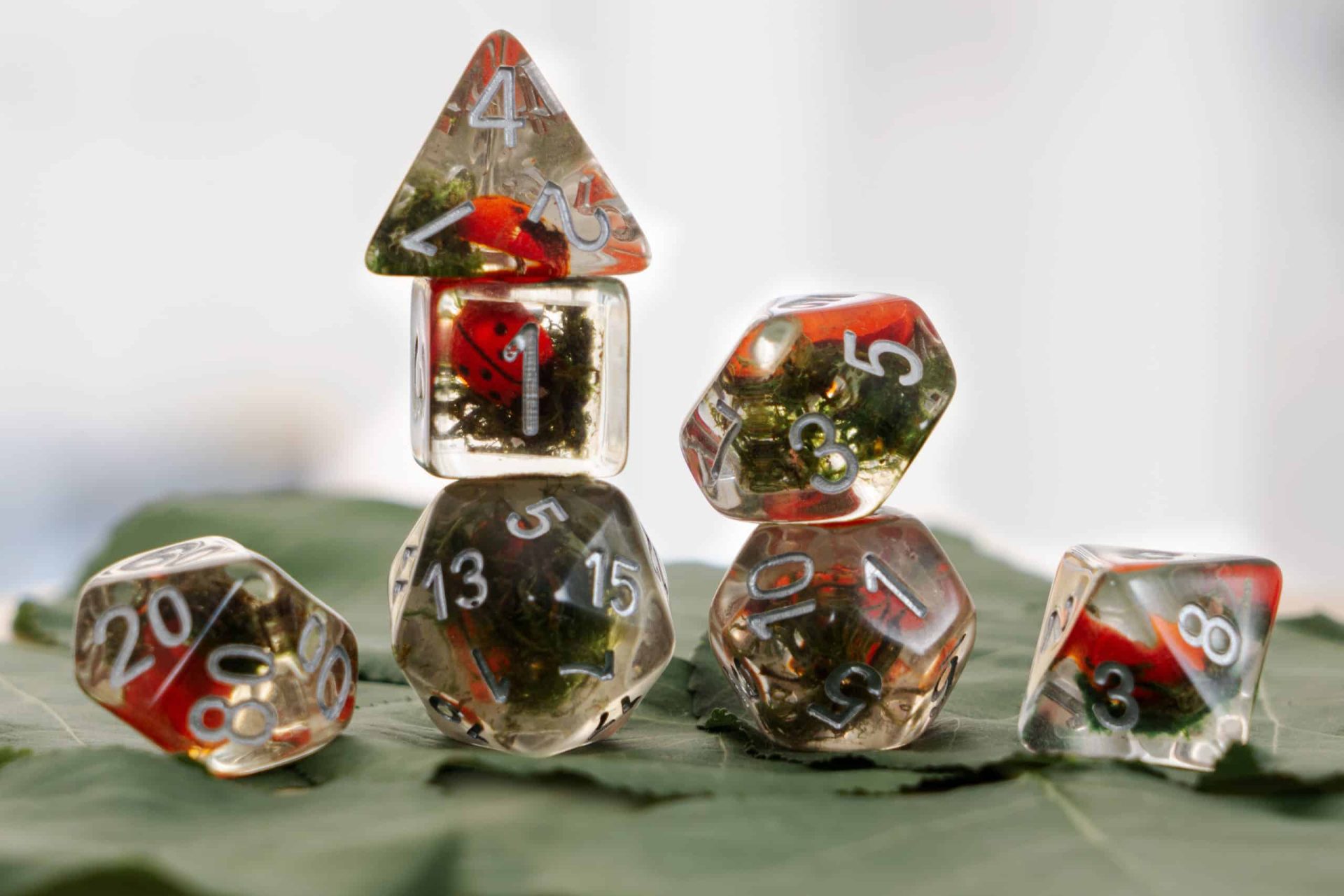 Coccinelle set di dadi di resina gdr D&D
